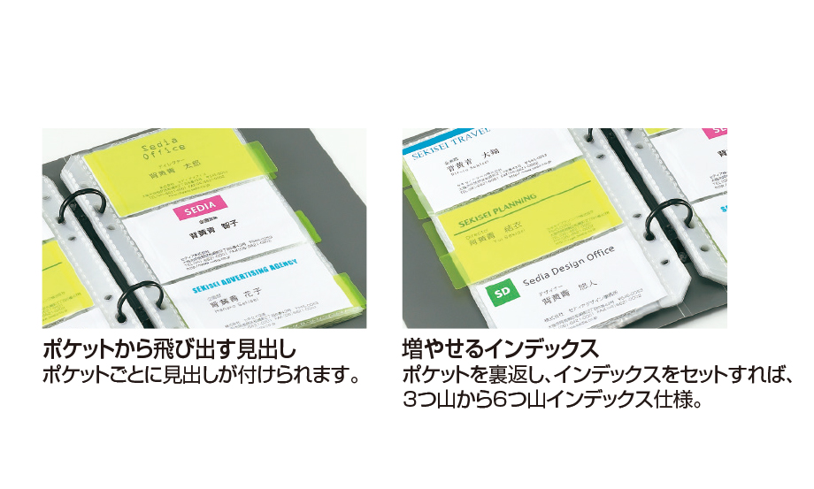 ザ・カード システムカードホルダー 差替式 – セキセイ株式会社