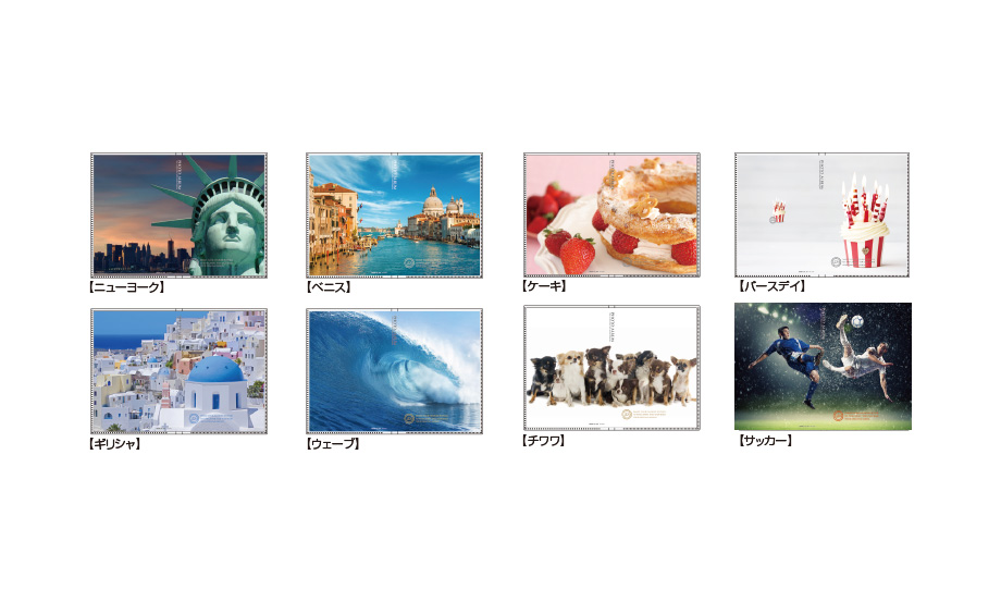 カバーアルバムきせかえ君 高透明 セキセイ株式会社