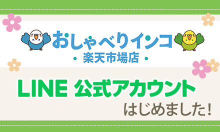 おしゃべりインコ楽天市場店LINE公式アカウントを開設いたしました！